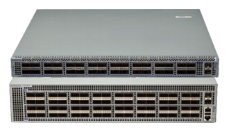 Arista 7170 Data Center Switch